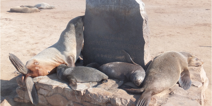 Cape-Cross-kruis-koning-Jao-II-zeehonden-zeeleeuwen-Namibië