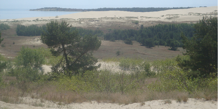 Curonion-Spit-nationaal-park-duinen-oostzee-Litouwen