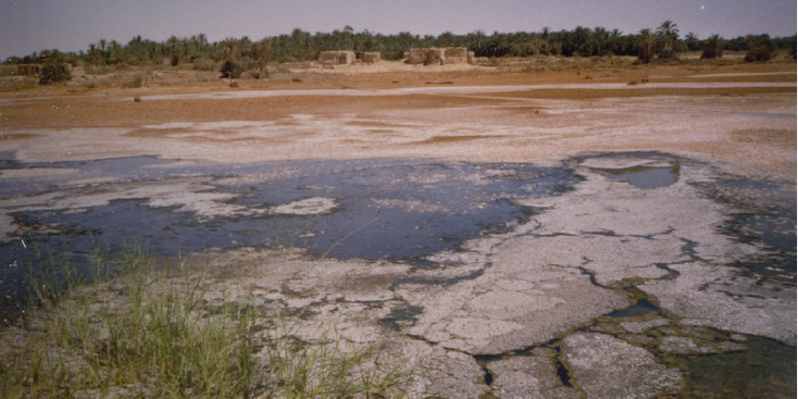 Az-Zeithlen-zout-meer-salt-lake-siwa-Egypte