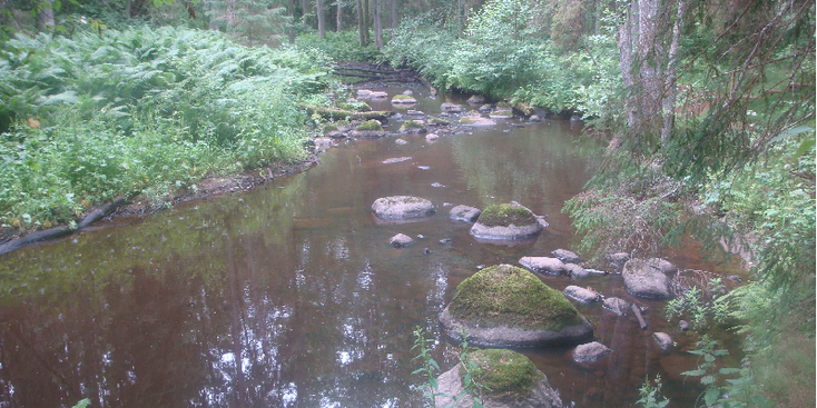 Lahemaa-nationaal-park-Altja-rotsen-beek-rivier-Estland