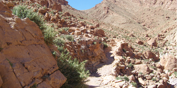 Todra-Valley-vallei-kloof-Tingrir-Marokko-pad