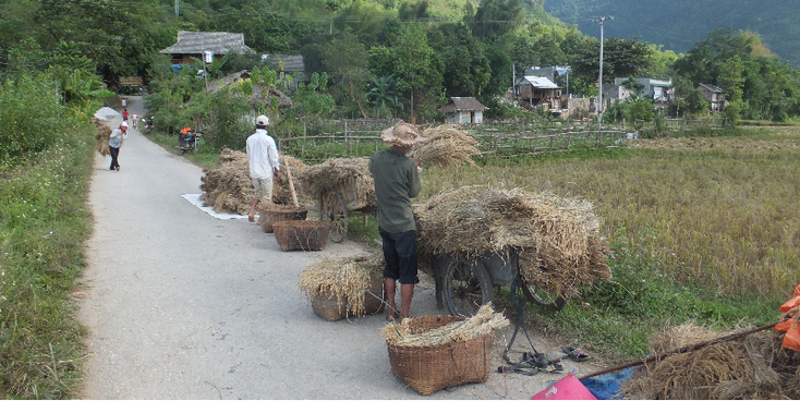 Mai-Chau-houten-huizen-op-palen-bergen-riet-rijstveld-Vietnam