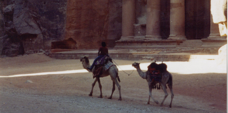Petra-Treasury-kamelen-Jordanië
