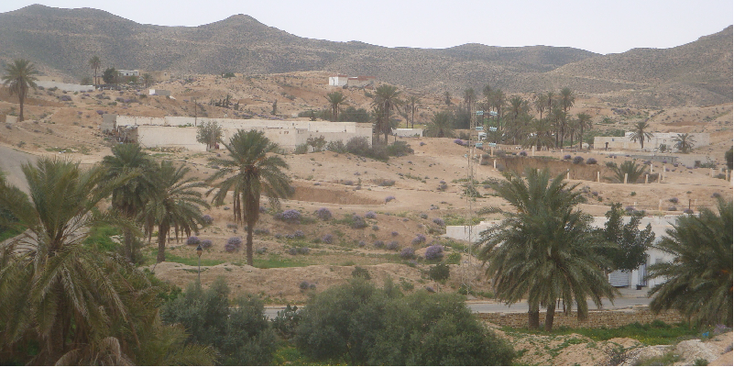 Matmata-palmboom-Tunesië