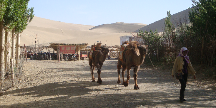 Dunhuang-Gobi-Dessert-China-zand-duinen-kamelen