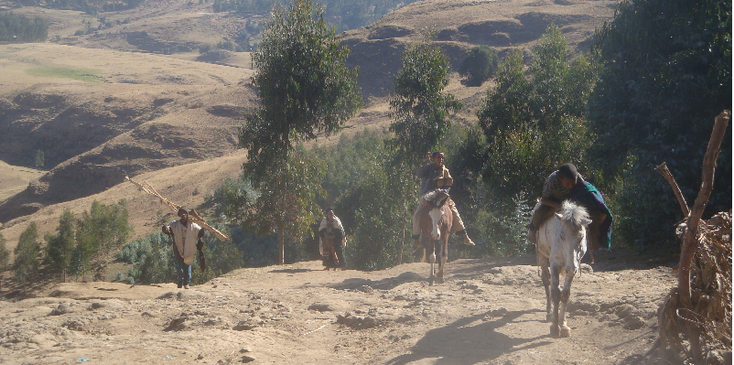 Simien-Nationaal-park-uitzicht-vallei-bergen-paarden-Ethiopië