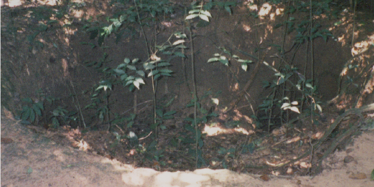 Cu-Chi-ingang-tunnel-jungle-Vietnamoorlog-Vietnam