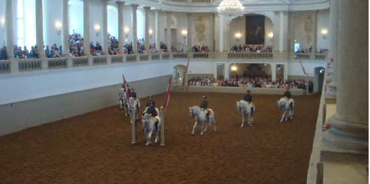 Spaanse-rijschool-Wenen-Oostenrijk