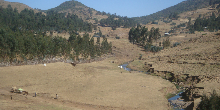 Simien-Mountains-Nationaal-Park-bergen-stroompje-Buyit-Ras-Ethiopië