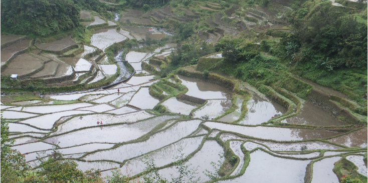 Batad-Bontoc-Banaue-rijstterras-rijstveld-Filipijnen
