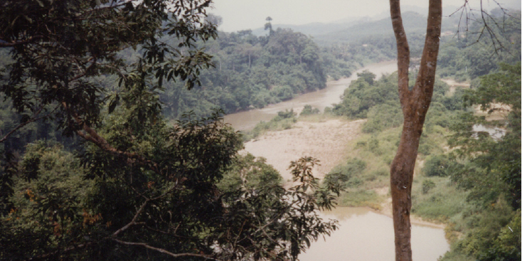 Teresik-Hill-heuvel-Taman-Negara-nationaal-park-jungle-rivier-bos-Maleisië