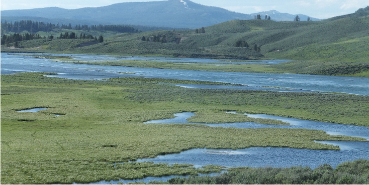Hayden-Valley-vallei-Yellowstone-National-Park-Verenigde-Staten