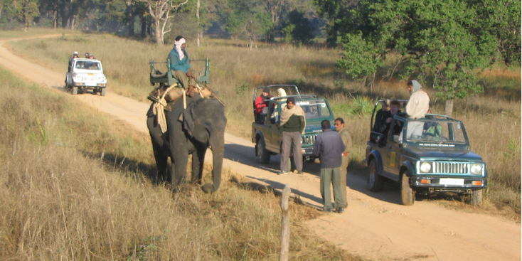 Kanha-nationaal-park-tijger-reserve-India-olifant-jeep