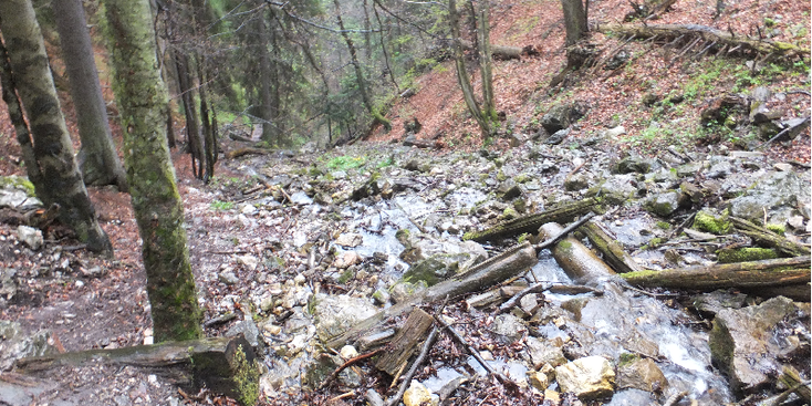 Slovensky-Raj-bos-nationaal-park-Slowakije