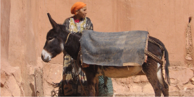 Ait-Benhaddoudou-ezel-kasbah-fort-Marokko