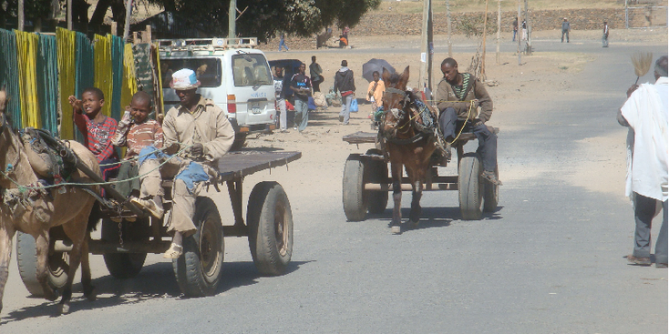 Axum-Ethiopië-straatleven-ezel-paard-en-wagen-stoffig