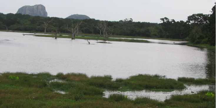 Yala-Nationaal-park-meer-poel-Sri-Lanka