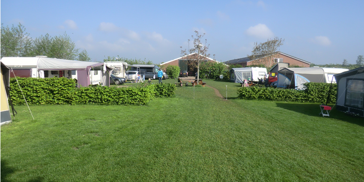 Boterbloem-camping-boeren-Leersum-tent-Nederland