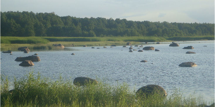 Lahemaa-nationaal-park-Altja-rotsen-stenen-Oostzee-kust-Estland