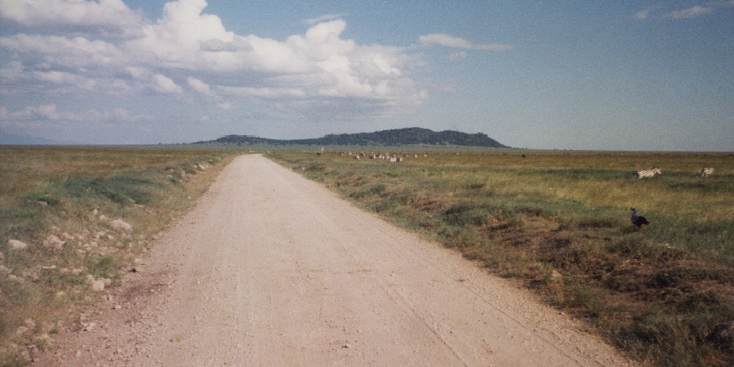 Serengeti-Tanzania-Nationaal-park-vlaktes-migratie