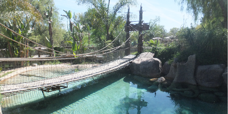 Cango-Wildlife-Range-hangbrug-Oudshoorn-Zuid-Afrika-opvang-wilde-dieren
