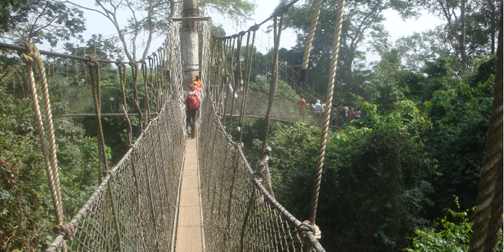 Kakum-Nationaal-park-hangbrug-canopy-walk-Ghana
