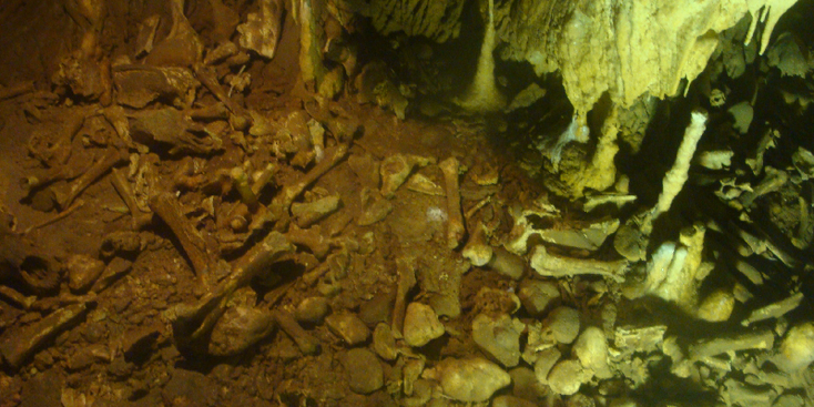 Chiscau-beenderen-botten-grot-Roemenië