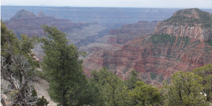Grand-Canyon-North-Rim-vallei-kloof-Verenigde-Staten