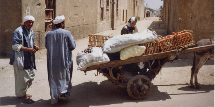 Cairo-Northern-Cemetery-Donkey-Car-Egypt