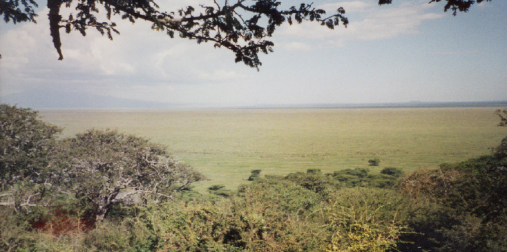 Serengeti-nationaal-park-eindeloze-vlakte-Tanzania