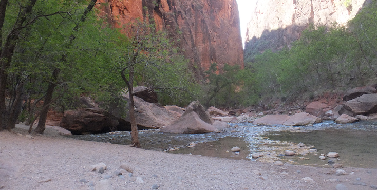Zion-Nationaal-park-Virgen-rivier-beek-rode-stenen-Verenigde-Staten