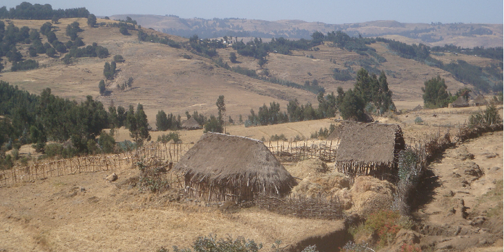Simien-Nationaal-park-Ethiopië-rieten-stro-hut