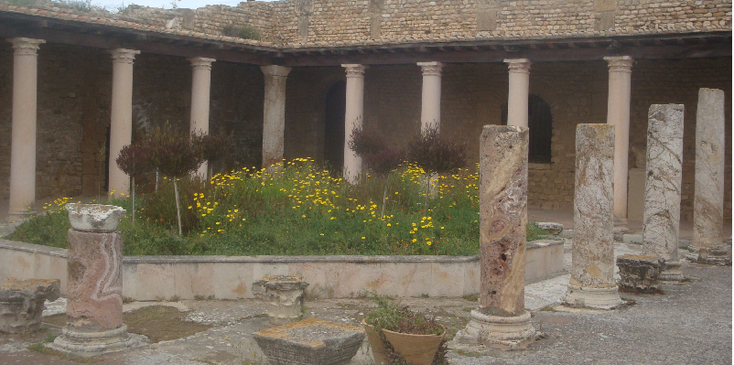 Carthago-ruïne-Romeins-villa-pilaren-columns-Hannibal-Tunis-Tunesië