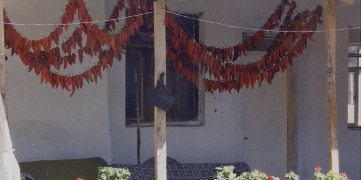 Selcuk-paprika-terras-balkon-Turkije