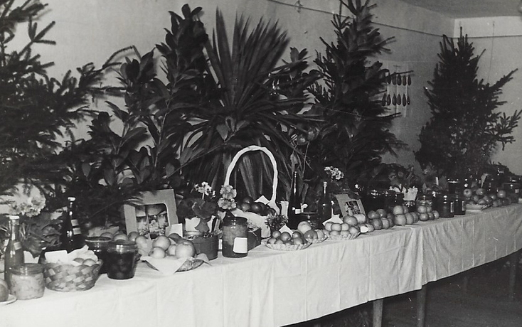 OGV Bildarchiv, Foto wurde eingescannt