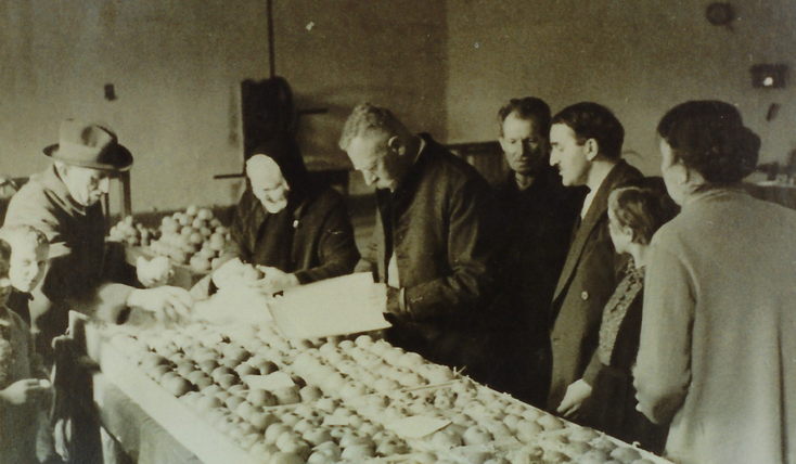 OGV Bildarchiv, Foto wurde eingescannt