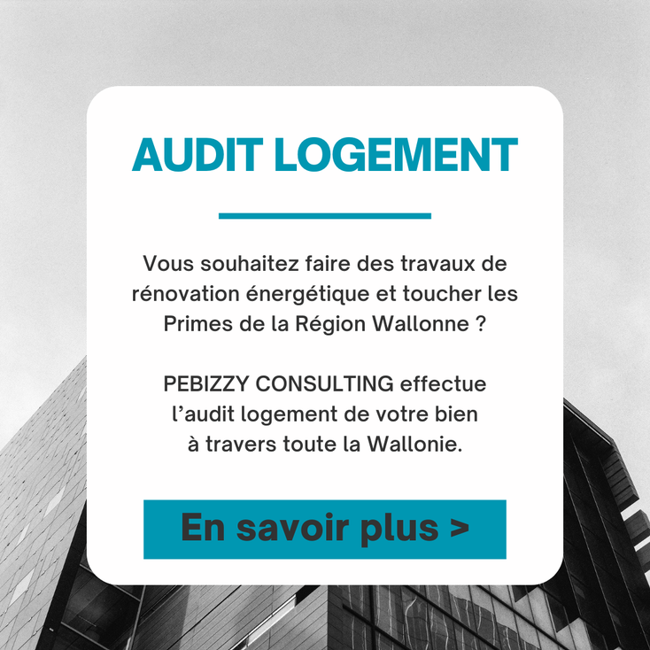 Audit Logement à La Bruyère, Bovesse, Emines, Meux, Rhisnes, Saint-Denis, Villers-lez-Heest et Warisoulx.