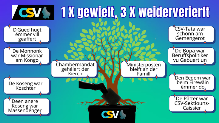▲ Stammbampolitik bei der CSV