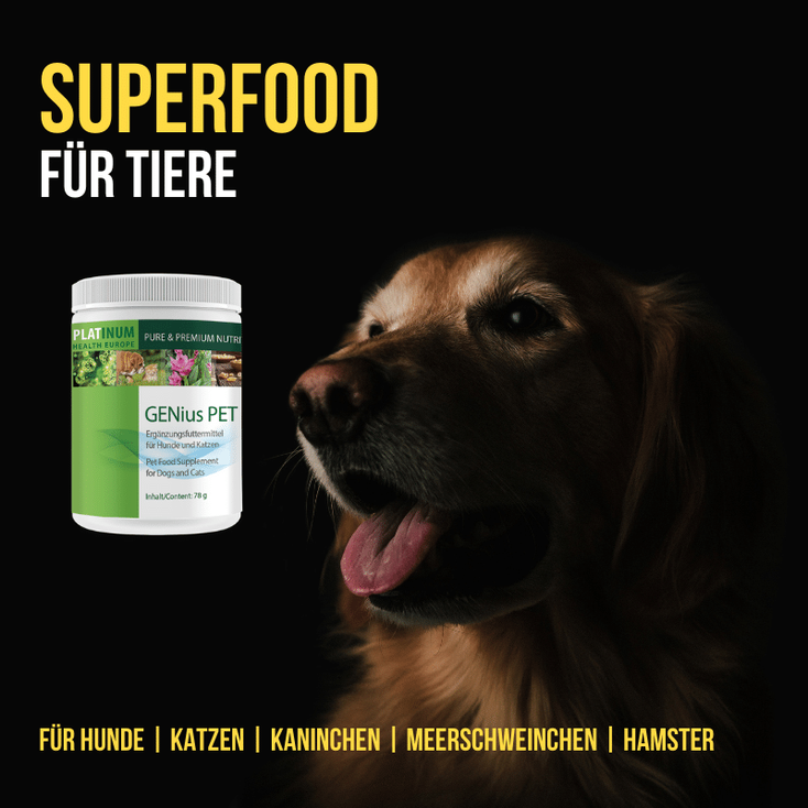 genius_pet, platinum, superfood, haustiere