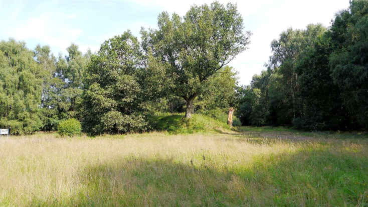 Das Geländebild nach der Räumung der umgestürzten Doppeleiche, nur die von oben bis unten aufgespaltene stehengebliebene Stammhälfte wurde stehen gelassen, als Erinnerungsstück an den einst prächtigen Baum.