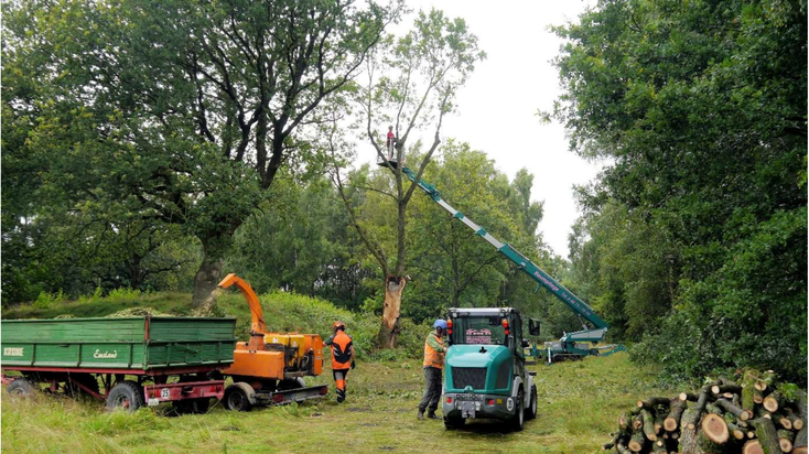 Nachdem von dem abgestürzten Teil die Biomasse klein geschnitten und das Buschwerk geschreddert wurde, wurden von dem stehengebliebenen Teil die über der Abbruchstelle überragenden Äste vom Hubsteiger aus in Stücken abgesägt.