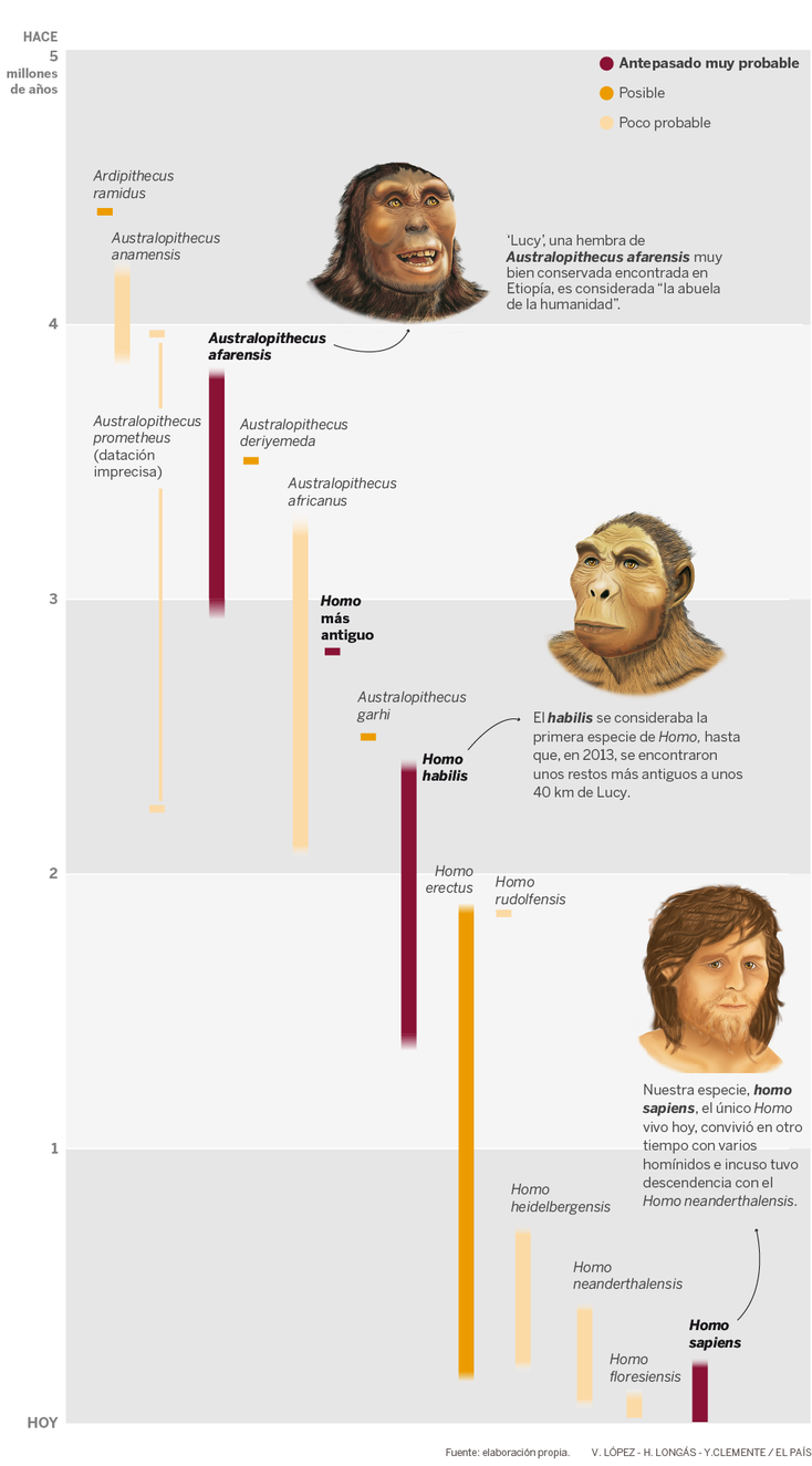EVOLUCIÓN DE LA HUMANIDAD.