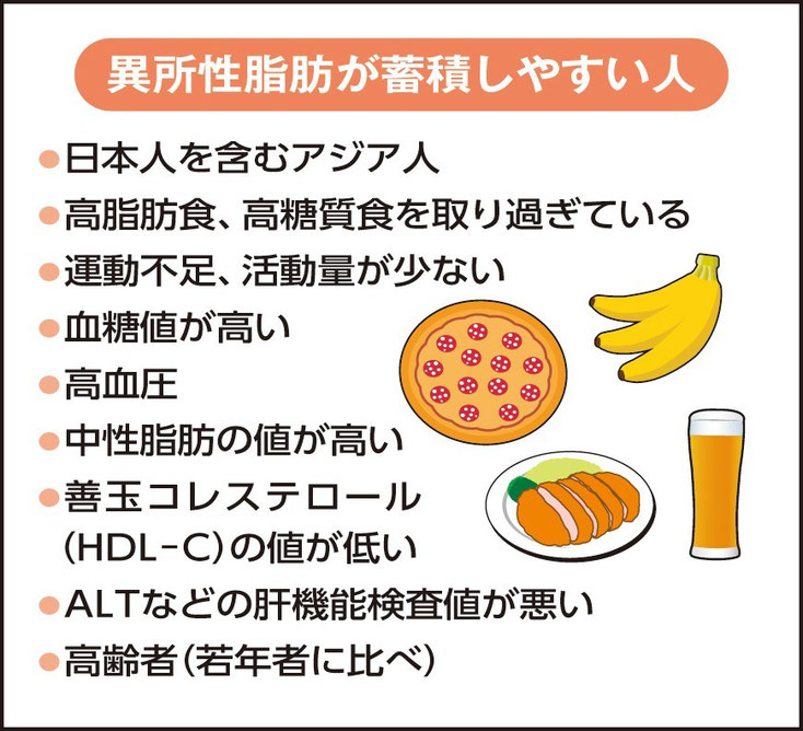 異所性脂肪・・「脂肪肝」「脂肪筋」 healthlabo ホーム 異所性脂肪・・「脂肪肝」「脂肪筋」 healthlabo ホーム