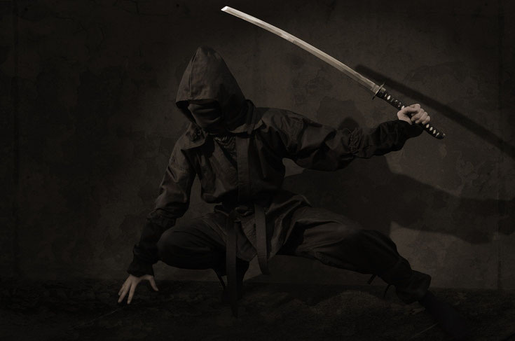 Ein Ninja in Schwarz gekleidet kniet auf dem Boden vor einer Wand. In seiner linken Hand hält er ein Schwert erhoben.
