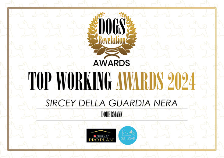 Ch. SIRCEY DELLA GUARDIA NERA 