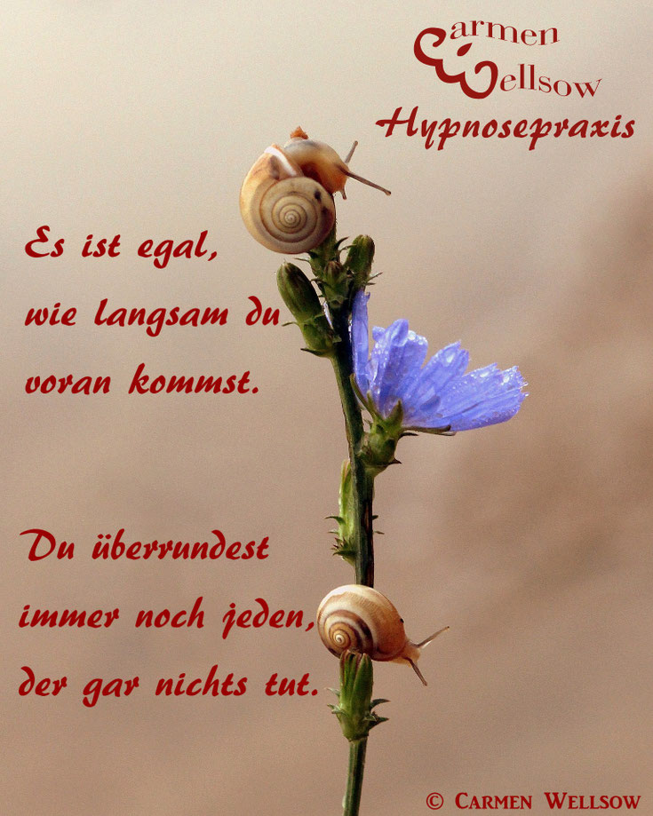 Wir wünschen ihnen frohe weihnachten und besinnliche tage "Sinn"volles :-) - Hypnosepraxis Carmen Wellsow