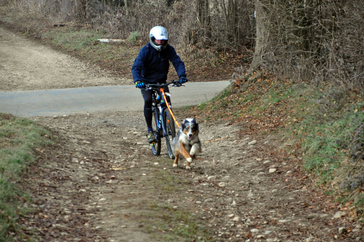 Canivtt du 31/12/2016 : les débuts en vtt !