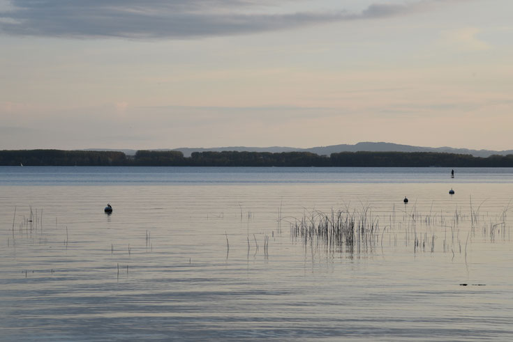 Der Murtensee