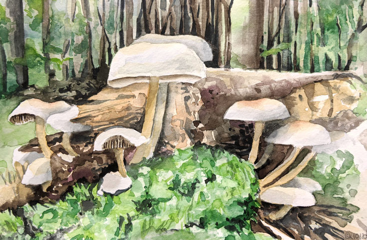 Aquarellstudie "Baumpilze im Wald": Baumstammrest, aus dem Pilze wachsen, im Hintergrund Wald, im Vordergrund Moos