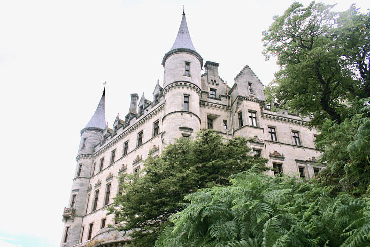 Scotland UK ofpenguinsandelephants of penguins & elephants Dunrobin Castle